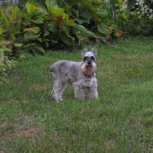 Meet your Posher, Ronda